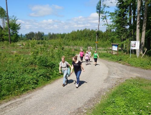 POČÁTECKÝ PŮLMARATON 2022