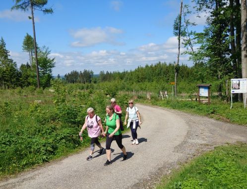 POČÁTECKÝ PŮLMARATON 2022