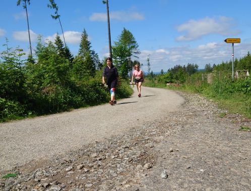 POČÁTECKÝ PŮLMARATON 2022