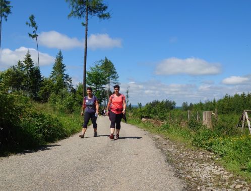 POČÁTECKÝ PŮLMARATON 2022