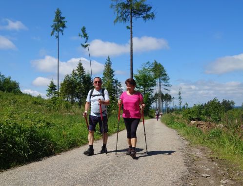 POČÁTECKÝ PŮLMARATON 2022