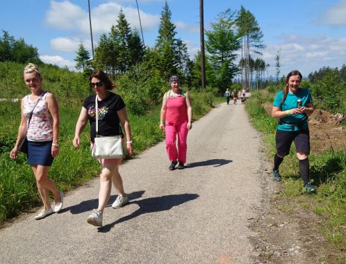 POČÁTECKÝ PŮLMARATON 2022