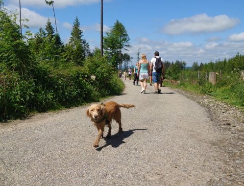 POČÁTECKÝ PŮLMARATON 2022