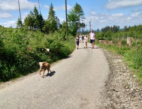 POČÁTECKÝ PŮLMARATON 2022