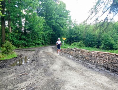 C:\fakepath\DSC 4700~2