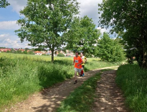 POČÁTECKÝ PŮLMARATON 2022