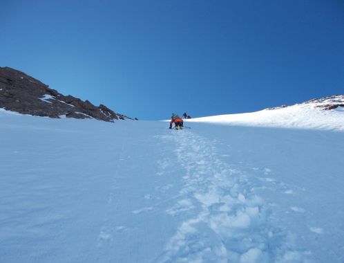 C:\fakepath\DSCN2432