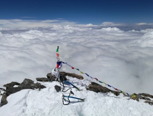 C:\fakepath\IMG 20180720 120017