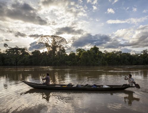 C:\fakepath\dug out 2