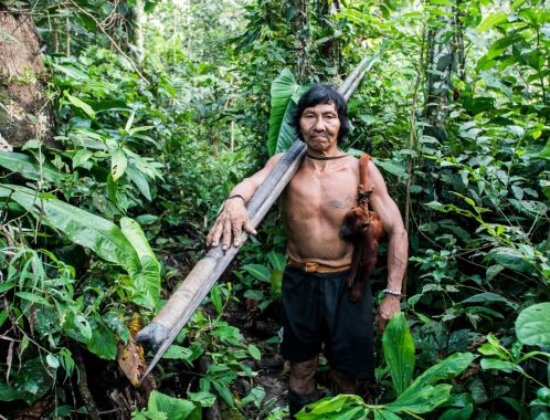 C:\fakepath\dug out 1