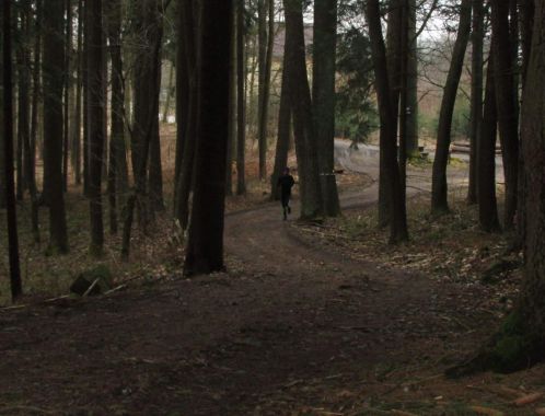 C:\fakepath\IMG 20180401 WA0023