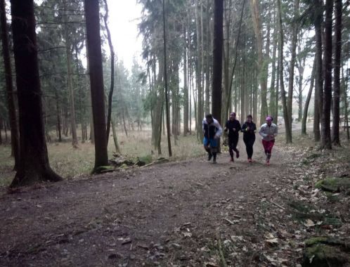 C:\fakepath\IMG 20180401 WA0031