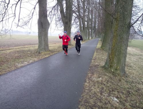 C:\fakepath\IMG 20180401 WA0039