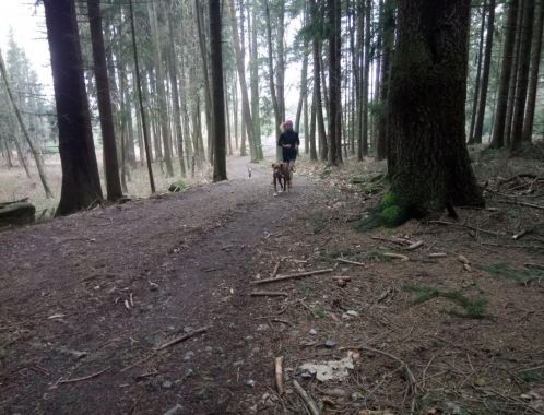 C:\fakepath\IMG 20180401 WA0040