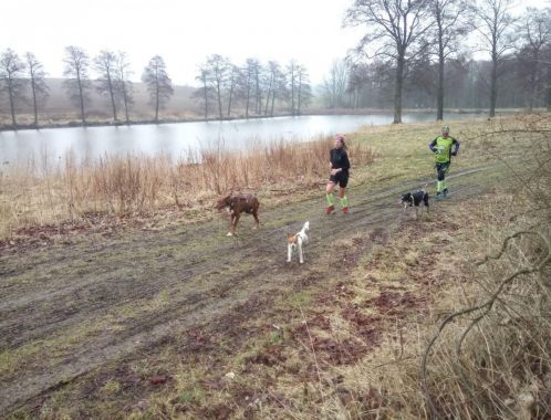 C:\fakepath\IMG 20180401 WA0050