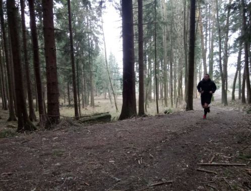 C:\fakepath\IMG 20180401 WA0053