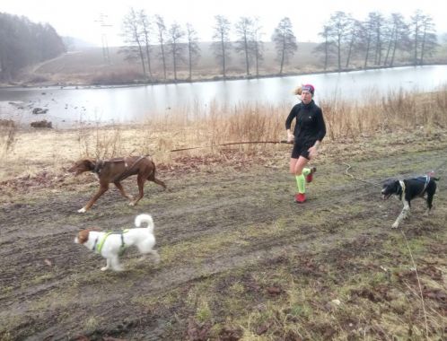 C:\fakepath\IMG 20180401 WA0051