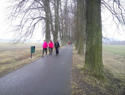 C:\fakepath\IMG 20180401 WA0045