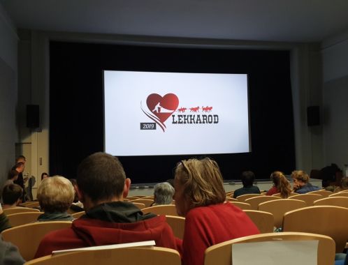 Filmový festival SFF 2019