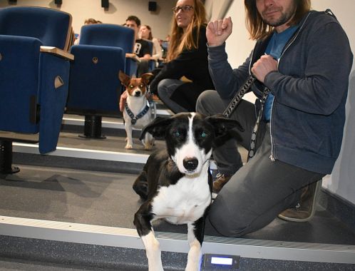 C:\fakepath\PKN 0053