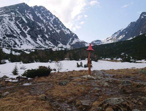 C:\fakepath\DSC 1373