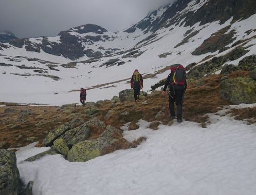 C:\fakepath\DSC 1381