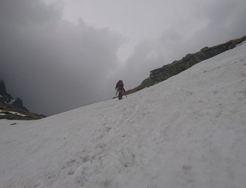 C:\fakepath\DSC 1377