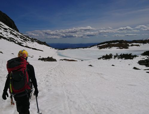 C:\fakepath\DSC 1464