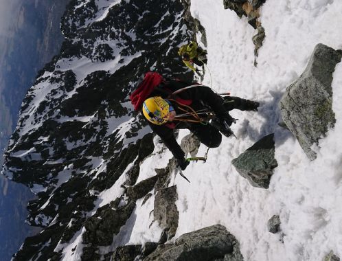 C:\fakepath\DSC 1425