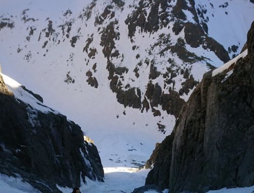 C:\fakepath\DSC 1401