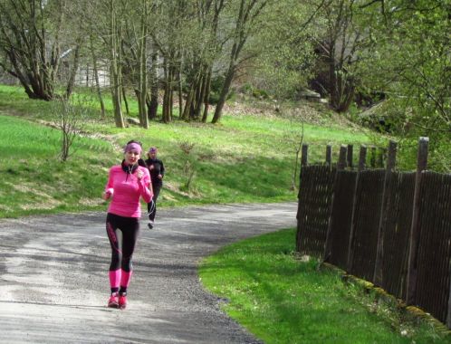 C:\fakepath\IMG 9127