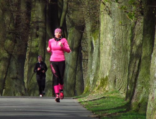 C:\fakepath\IMG 9135