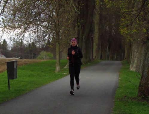 C:\fakepath\IMG 9140