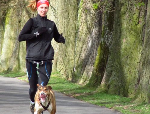 C:\fakepath\IMG 9155