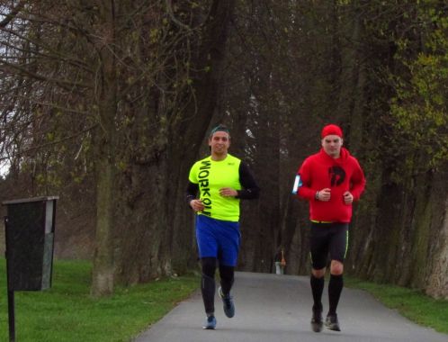 C:\fakepath\IMG 9174