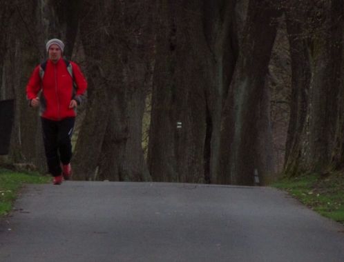 C:\fakepath\IMG 9176