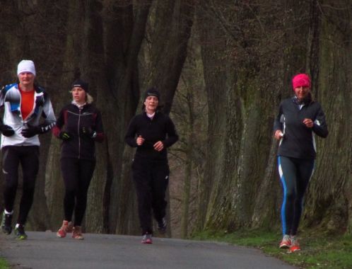 C:\fakepath\IMG 9202