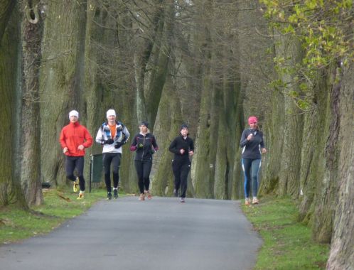 C:\fakepath\P1250423