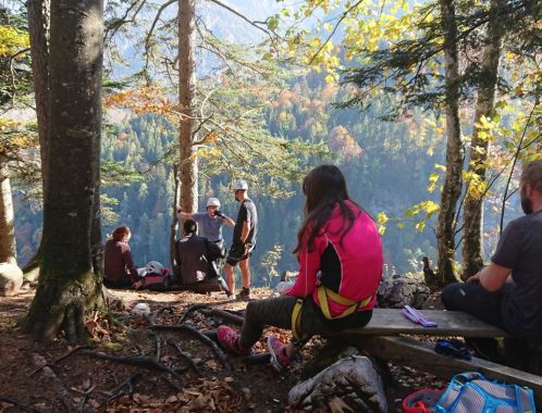 C:\fakepath\DSC 1842