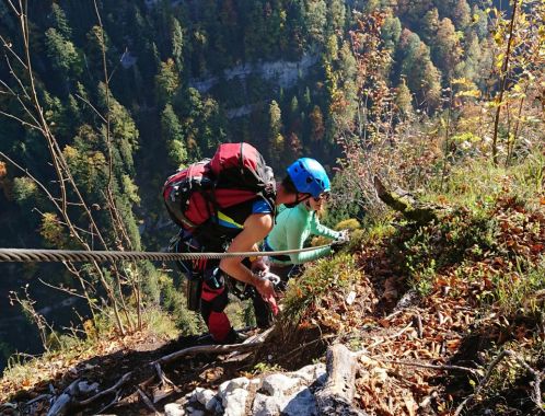 C:\fakepath\DSC 1849