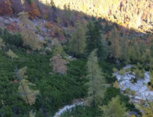 C:\fakepath\IMG 20181014 WA0017