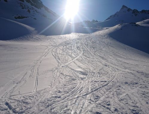 C:\fakepath\DSC 0817