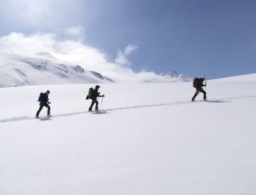 C:\fakepath\IMG 20190326 112730