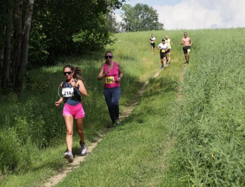 C:\fakepath\IMG 1976   10x15cm