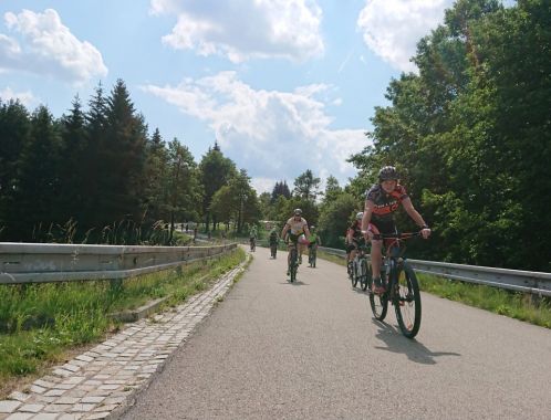 C:\fakepath\DSC 9290