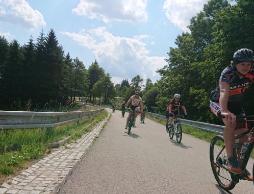 C:\fakepath\DSC 9291