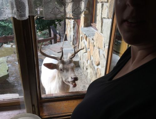 C:\fakepath\IMG 5628