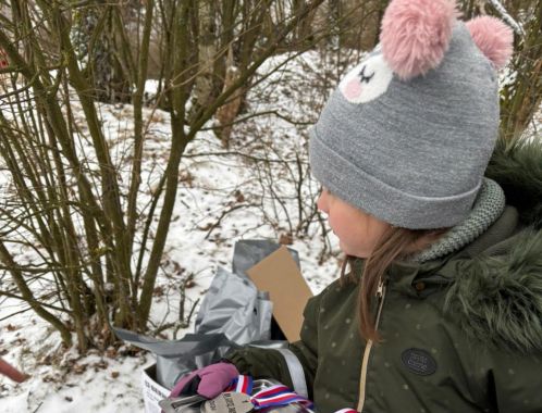 C:\fakepath\IMG 20250106 WA0016