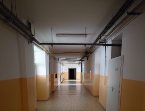 C:\fakepath\20250312 103645