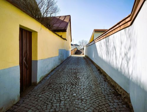 C:\fakepath\IMG 20250308 142310